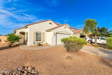 Desert Landscaping