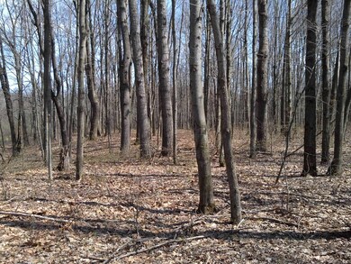 1 W Baseline Rd, White Cloud, MI 49349 - photo 4