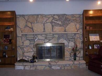 and Built in Shelving in Living Room