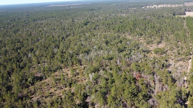 TBD Joe Lorenz Rd, Singer, LA 70660 - photo 3