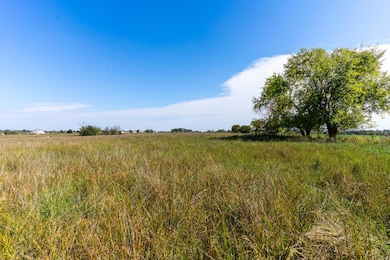 000 Morgan Ln, Sheridan Township, MO 65648 - photo 5