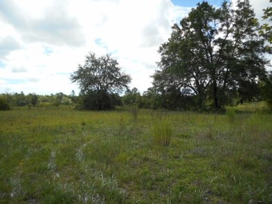 0 Kasey Ln, Crawfordville, FL 32327 - photo 4