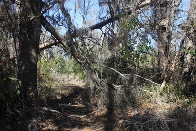 172 Pruitt Dr, Perry, FL 32348 - photo 6