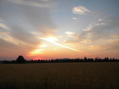 918 W Wildrose Rd, Colbert, WA 99005 - photo 3