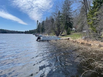 7285 W Leavitt Rd NE, Outing, MN 56662 - photo 5