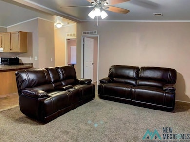 3513 Smith St, Artesia, NM 88210 - photo 3