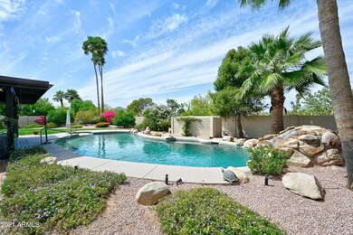 Backyard 1