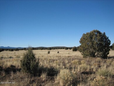 1479 W Yukon Dr, Ash Fork, AZ 86320 - photo 3