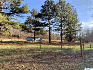 1349 County Road 117, Rogersville, AL 35652 - photo 4