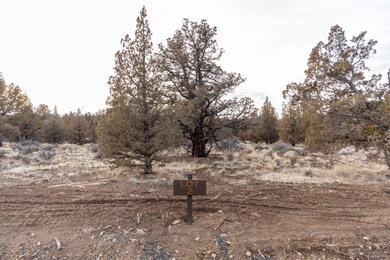 0 SW 89th St unit 201900263, Redmond, OR 97756 - photo 2