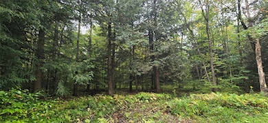 0 Sprague Rd unit 333093, Afton, NY 13730 - photo 4