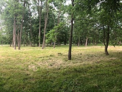 Bluebird lot 3