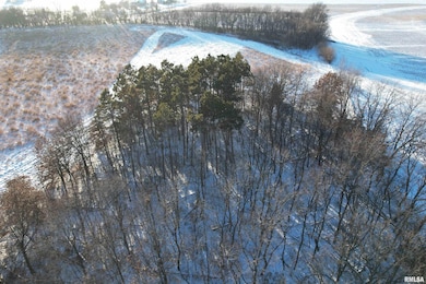 29260 CR 1500n, Teheran, IL 62664 - photo 7