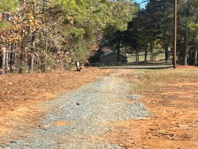 395 Mt Vernon Hcry Mt Rd, Siler City, NC 27344 - photo 3