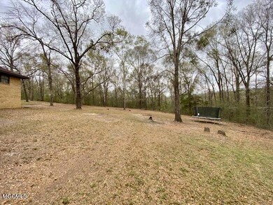 194 Elbert Stringer Ln, Lucedale, MS 39452 - photo 6