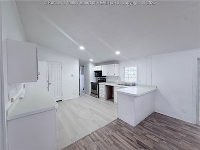 66 Red Oak Dr, Cottageville, WV 25239 - photo 4