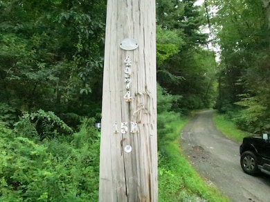 10 Cherry Swamp Rd, East Haddam, CT 06469 - photo 6