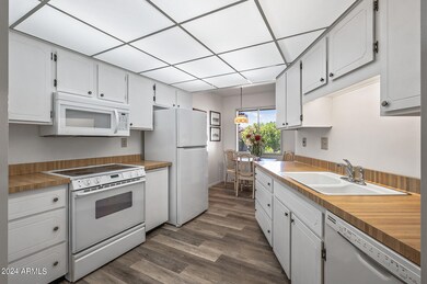 13866 N 108th Dr, Sun City, AZ 85351 - photo 3