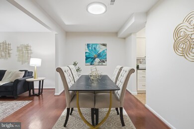 6311 Fenestra Ct unit 137B, Burke, VA 22015 - photo 6