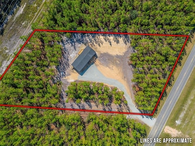 1361 Joey Williamson Rd Jesup Ga, Jesup, GA 31545 - photo 6