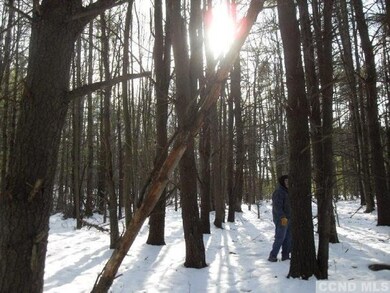 3 Hawthorne Hill Rd, New Lebanon, NY 12125 - photo 7