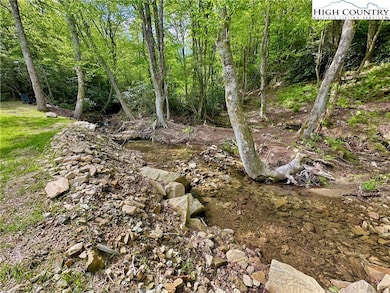 1291 George Hayes Rd, Boone, NC 28607 - photo 4