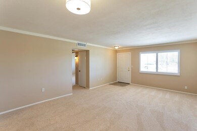 11114 W Emerald Dr, Sun City, AZ 85351 - photo 6