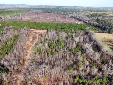 0 Rafting Creek Twns unit 201095, Rembert, SC 29128 - photo 3