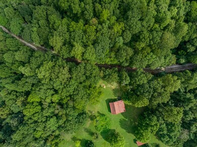 4974 Brotherton Mountain Rd, Cookeville, TN 38506 - photo 4