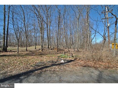 6044 Wismer Rd, Pipersville, PA 18947 - photo 4