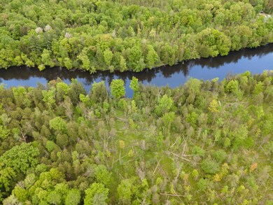 5-web-or-mls-DJI_0019