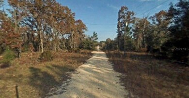 0 NE 64th Place unit MFRTB8453106, Williston, FL 32696 - photo 3
