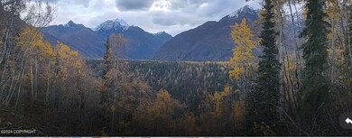 IMG_1167