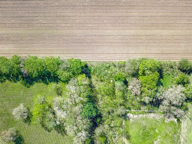 0 Sand Hill Ln, Needville, TX 77461 - photo 7