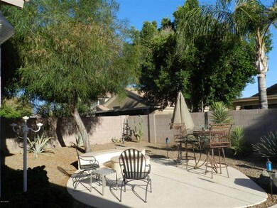 BACK YARD