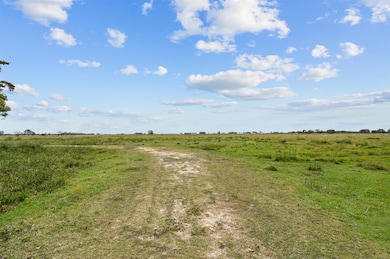 00 Hurta, Needville, TX 77461 - photo 4