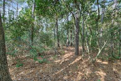 Lot 453 N Woods, Cleveland, TX 77328 - photo 4