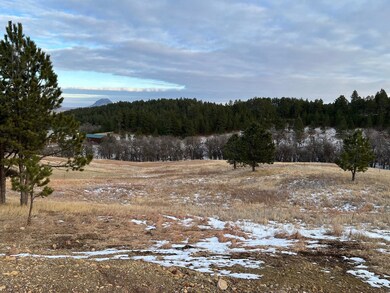 Lot 21 Summit Pass unit Dakota Highland Esta, Whitewood, SD 57793 - photo 6