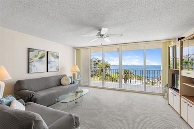 Isla Key unit 304, Saint Petersburg, FL 33715 - photo 4