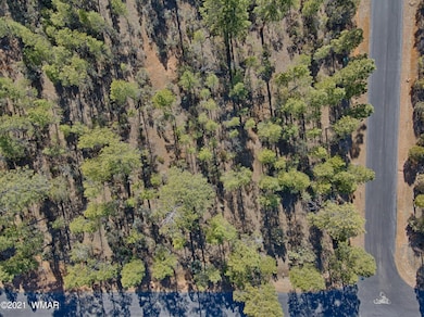 DJI_0253_HDR