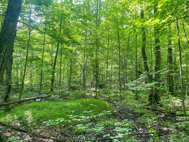 4 Millie Rd, Tomahawk, WI 54487 - photo 6