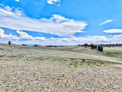 656 Ute Trace, Hartsel, CO 80449 - photo 3