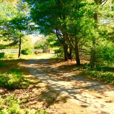 143 Old Holmes Hole Rd, Vineyard Haven, MA 02568 - photo 7