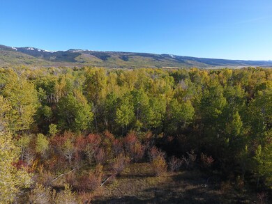 DJI_0002 - Copy - Copy - Copy