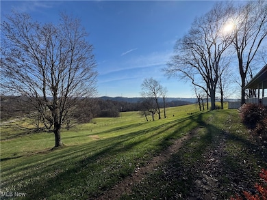 69142 Woods Rd, Bridgeport, OH 43912 - photo 2