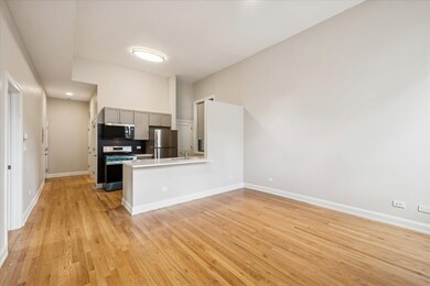 2058 N Albany Ave unit 1R, Chicago, IL 60647 - photo 4