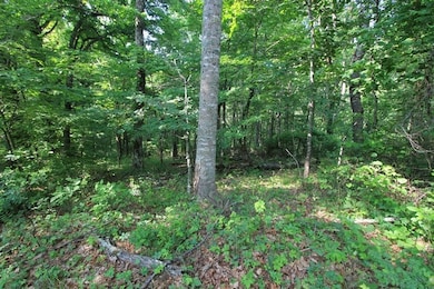 108 Point Lookout Ln, Independence, VA 24348 - photo 3