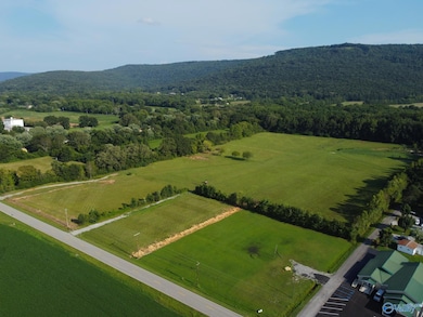 310 - 1C Little Cove Rd, Gurley, AL 35748 - photo 3