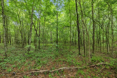 0 Eli Rd, Bon Aqua, TN 37025 - photo 3