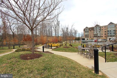 Creekside unit 226, Silver Spring, MD 20906 - photo 4